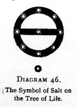 The Symbol of Salt on the Tree of Life